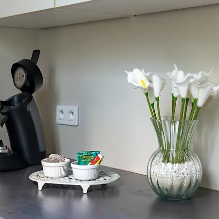 L'olivier I T2 Cosy Idealement Situe A *