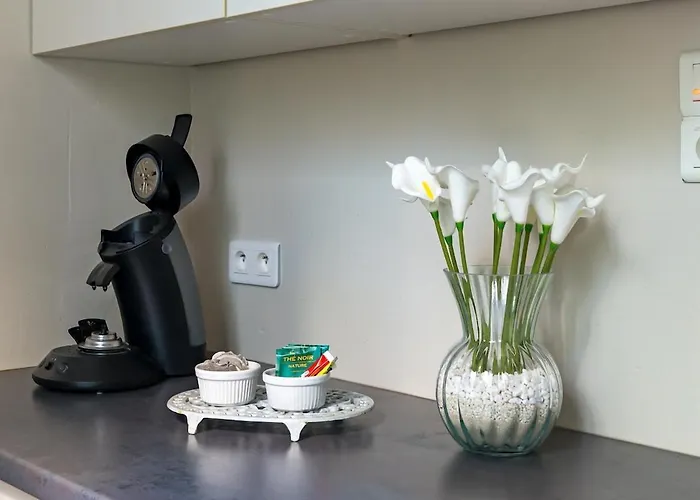 L'olivier I T2 Cosy Idealement Situe A *