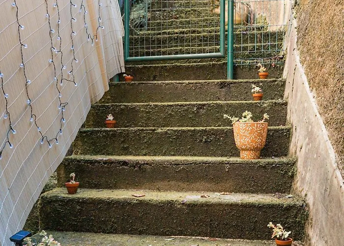 L'olivier I T2 Cosy Idealement Situe A דירה *